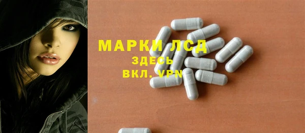 стаф Володарск