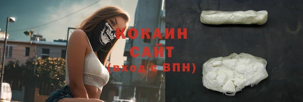 прущая мука Вяземский