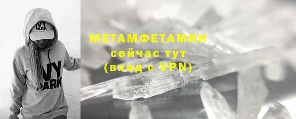 прущая мука Вяземский