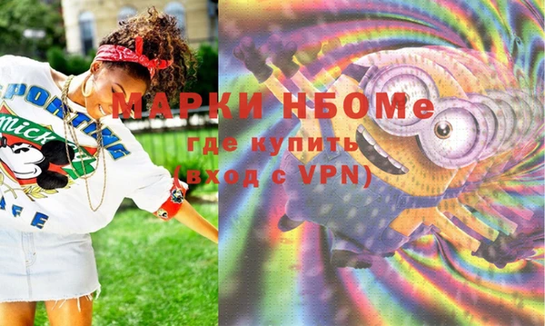 стаф Володарск
