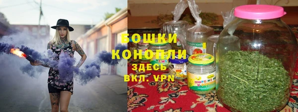 соль ск Волосово