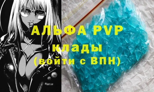 стаф Володарск