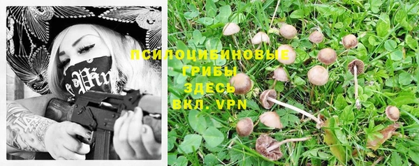 соль ск Волосово