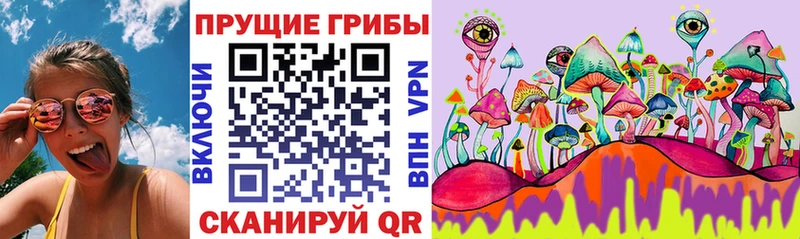 где найти наркотики  Заринск  Галлюциногенные грибы Cubensis 